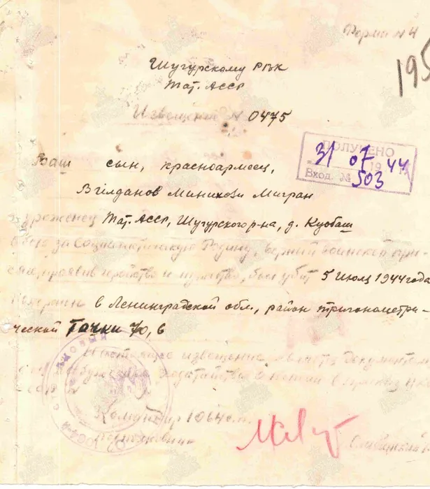 Вильданов Минихази Мигранович